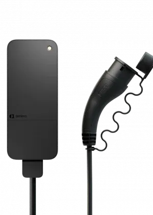 Amina-S-and-plug Amina-S-and-plug